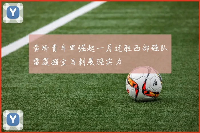黄蜂青年军崛起一月连胜西部强队雷霆掘金马刺展现实力