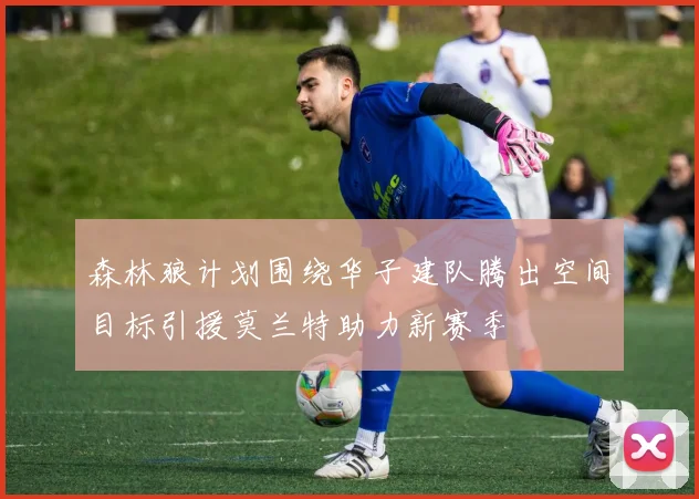 森林狼计划围绕华子建队腾出空间目标引援莫兰特助力新赛季