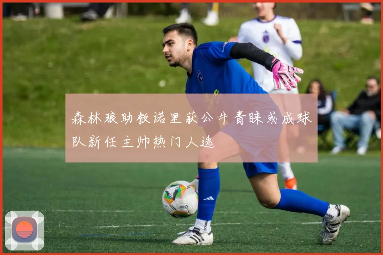 森林狼助教诺里获公牛青睐或成球队新任主帅热门人选